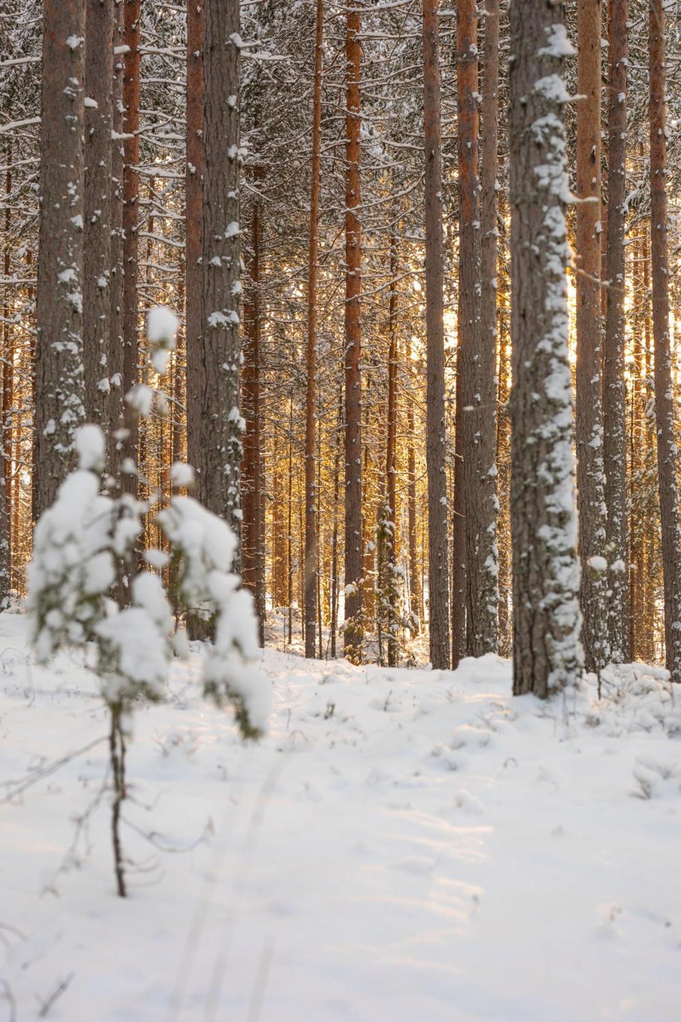 Hotelli Punkaharju Zewnętrze zdjęcie